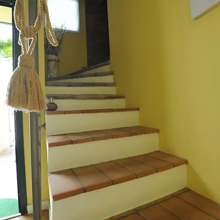 Aurora Domus D'a-mare Pesaro