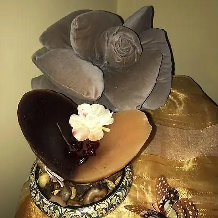 Aurora Domus D'a-mare Pesaro